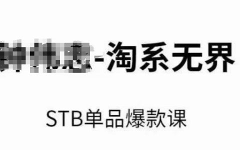 2024淘系无界STB单品爆款打造秘籍：付费引流与免费转化策略，万相台关键词推广与精准人群定位核心技巧