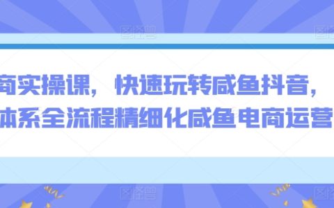 电商实战课程，精通咸鱼与抖音，全面体系化流程精细化操作，咸鱼电商运营攻略【专业指导】