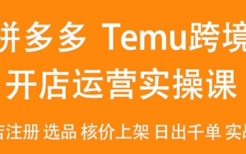 2024版Temu开店攻略：跨境电商实战教程，注册开店、精选商品、定价上架、日销千单技巧揭秘