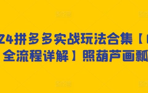 2024拼多多运营实战攻略,从零到一全程解析【照猫画虎技巧揭秘】