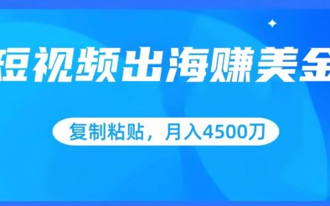 短视频跨境盈利揭秘:复制粘贴技巧,批量操作指南,助力小白月入4500美元