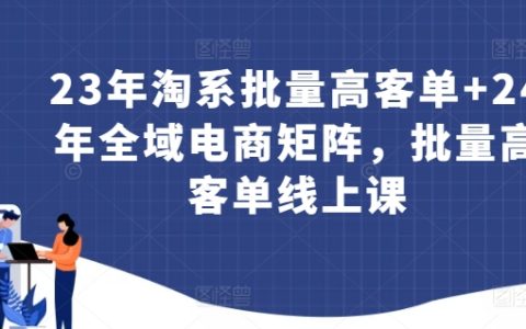 2023年淘系批量高客单电商策略与2024年全域电商矩阵教程，专业线上课程