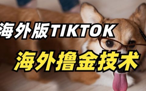 揭秘TikTok海外撸金技巧:抓住行业风口,轻松盈利