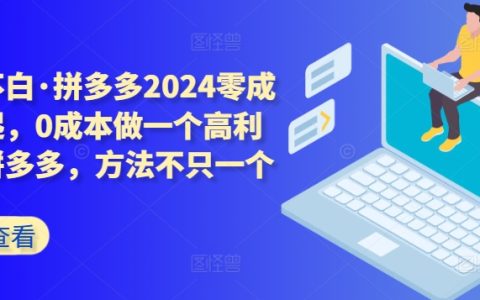 2024拼多多零成本玩法揭秘：轻松开启高利润店铺，多种盈利方法分享