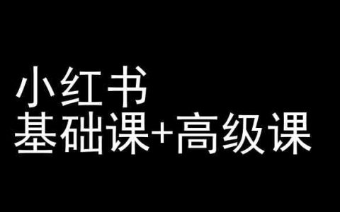 小红书运营秘籍,基础课+高级课全套教程