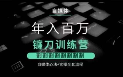 百万级收入自媒体实战营：深度解析镰刀策略，涵盖核心心法与完整实操教程
