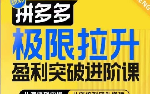 拼多多盈利加速课程，深度解析算法与运营策略，全方位团队建设指南，助您高效提升店铺收益