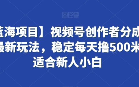 【蓝海项目揭秘】视频号创作者分成的全新玩法,稳定每天赚 500 元,新人小白轻松上手