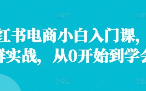 小红书电商新手教程,店铺批量运营实操,零基础学起至精通全流程