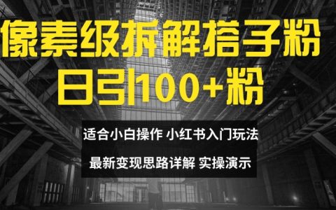 搭子粉精准引流攻略，每日新增100+用户，小白快速入门，最新变现技巧全解析【揭秘】