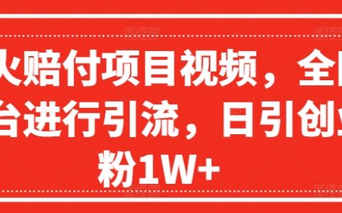 赔付项目视频爆红策略,多平台引流技巧解析,每日引流创业粉高达1W+