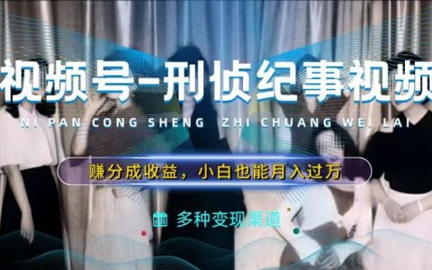揭秘!如何通过制作刑侦纪实视频,轻松实现视频号分成收益,新手月入过万不再是梦