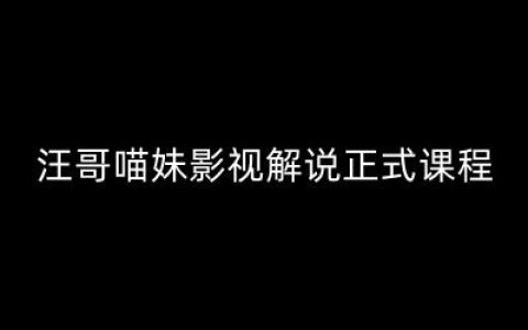 《汪氏影视剪辑大师班:剪映与PR实操教程,揭秘视解说剪辑五大高效法则及七大核心工具》