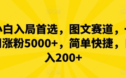新手快速上手图文运营攻略,一周粉丝破5000,操作简便,日收益超200+