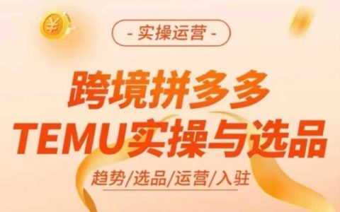 深度解析TEMU跨境电商实战，拼多多国际版选品与运营技巧全揭秘