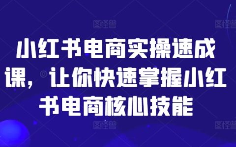小红书电商速成指南：揭秘爆文创作、商品推广核心技能，新手电商必备【攻略】