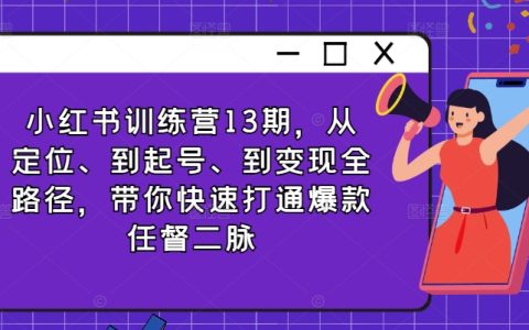 小红书爆文攻略:第13期账号运营训练营,从定位到变现全攻略,助你快速掌握爆款密码