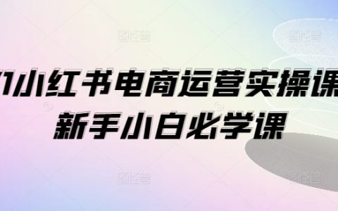 新手电商运营秘籍：1V1小红书实战课程，从零打造爆款店铺攻略