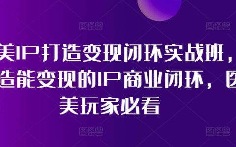 医美领域IP构建与变现策略实战课程，构建高效IP商业闭环，医美行业从业者必学指南