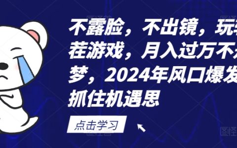 2024年找茬游戏新趋势:非出镜玩法,轻松月入万元,抓住行业爆发机遇【深度解析】