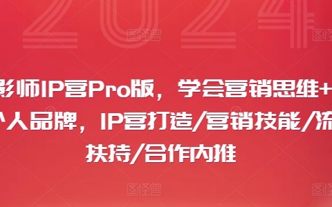 摄影师IP营Pro进阶版:掌握营销思维,塑造个人品牌,获取IP营全方位打造秘籍,包括营销技巧、流量扶持与合作内推