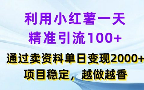 揭秘小红书引流技巧：单日精准吸引100+用户，销售项目日赚2K+，打造稳定高收益内容营销策略