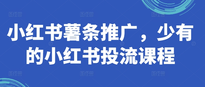 独家揭秘：小红书薯条推广攻略，高效投流课程助你快速吸粉
