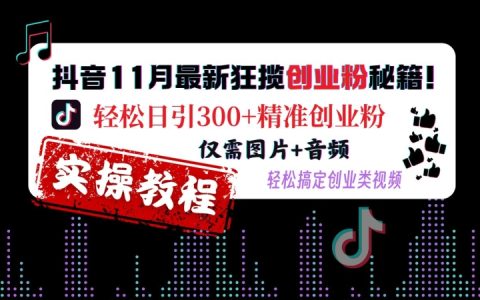 11月最新抖音引流技巧：轻松日增300+精准创业粉丝，仅需图片与音频打造爆款视频