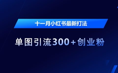 高效利用小红书平台，十一月单图引流300+精准创业粉丝技巧分享