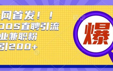 利用Boss直聘平台,每日轻松吸引200+创业者的方法揭秘【高效引流】