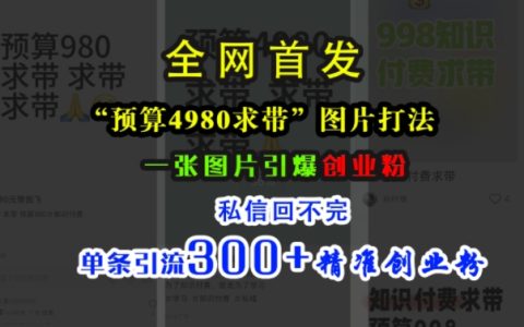 利用4980元预算，掌握小红书图片营销策略，单张图片吸引大量关注，私信互动频繁，一条动态带来300+精准创业粉丝