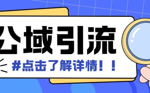 高效全网引流策略：日增500+创业粉丝，轻松实现矩阵化运营