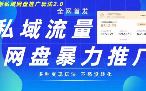 全新私域网盘拉新策略2.0版,多样化盈利途径,实现私域用户回流,每日稳定收入超500元【深度解析】