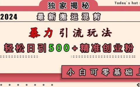 高效搬运混剪技巧，日增500精准创业粉丝，小白轻松上手