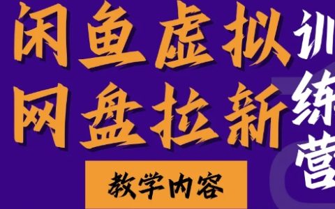 闲鱼虚拟网盘拉新实战训练营：两天快速入门，实现长久稳定被动收入