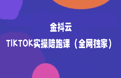 金抖云-TIKTOK实操陪跑课（全网独家）【15节】