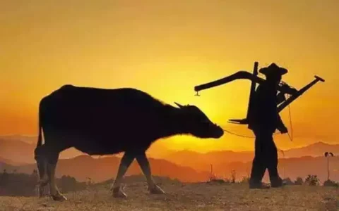 搞农业什么赚钱-搞农业赚钱与赔钱的9条生死线！