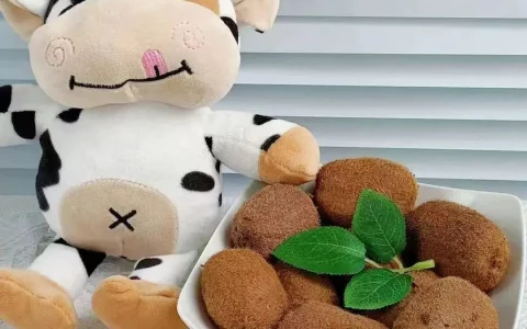 在家玩什么赚钱-“什么？不上班，你在家里还能赚钱？”