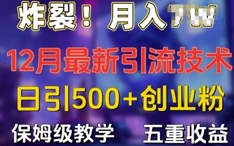 惊人！揭秘12月最新每日引流500+精准创业粉丝方法，保姆级教学助力多重收益