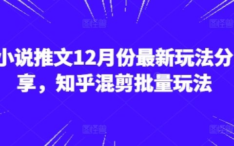12月最新小说推广技巧分享，知乎混剪批量操作玩法揭秘