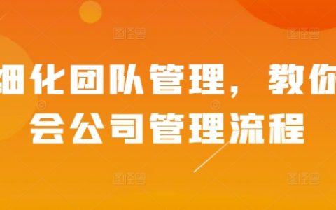 深度解析团队精细化管理：掌握企业运营流程的关键技巧