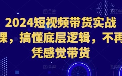 2024短视频带货实战教程：洞察核心原理，告别盲目销售技巧