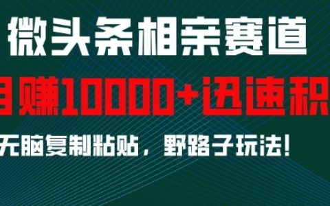 微头条相亲赛道攻略：轻松积累粉丝，无脑复制粘贴技巧，月入过万秘籍