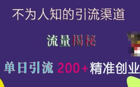 如何利用不为人知的引流渠道实现单日获取200+精准流量？实战分享与技巧揭秘
