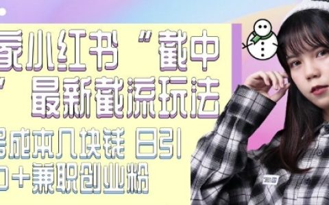 揭秘最新小红书截流技巧：低成本操作日增500+精准创业粉，独家截流方法分享
