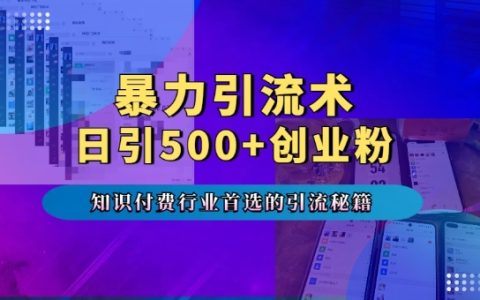 高效引流技巧：专业领域付费课程推广秘籍，每日吸引超500创业者，多设备流量不断