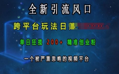 揭秘跨平台引流新风口：日收入超千，单日吸引200+精准创业粉丝，一个被严重忽视的视频平台的崛起