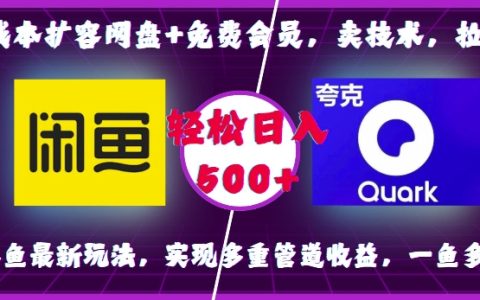 0成本扩展云存储空间+免费会员计划，技术变现与用户拉新策略，咸鱼平台最新操作指南，实现多渠道收入，一鱼多吃，轻松日入500+