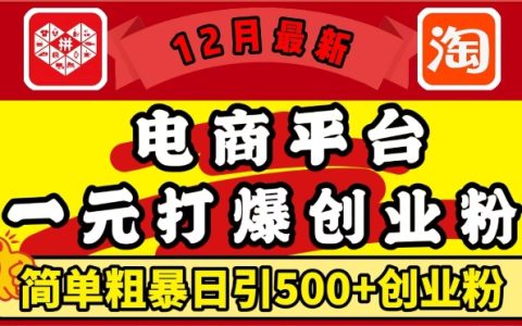12月更新:电商平台1元引流策略,每日吸引500+精准创业粉丝,轻松实现月收入过万【独家揭秘】