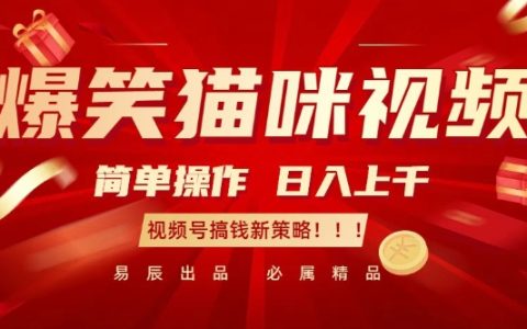 搞笑猫咪视频赚大钱:轻松操作,日入千元,视频号赚钱新方法【揭秘】